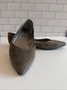 Audrey Brooke Metallic Silver /Gold Pointed Toe Flats